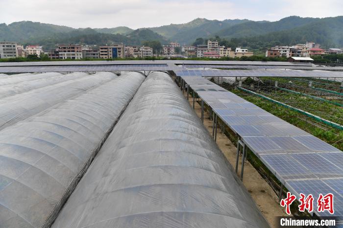 福建永定：光伏發電點亮減貧路